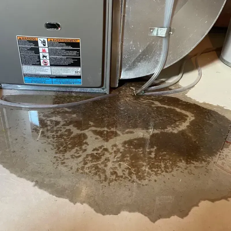 Appliance Leak Cleanup in Conway County, AR